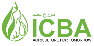 Freelance Marketing Consultant in Dubai - Charbel El Khouri - ICBA